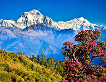 Nepal Holiday Packages