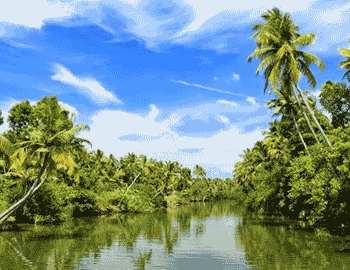 Amazing Kerala Holiday Package