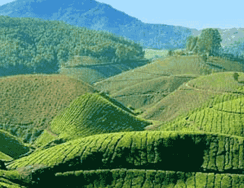 Enchanting Kerala Holiday Package