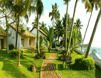 Munnar-Cochin-Thekkady Holiday Package